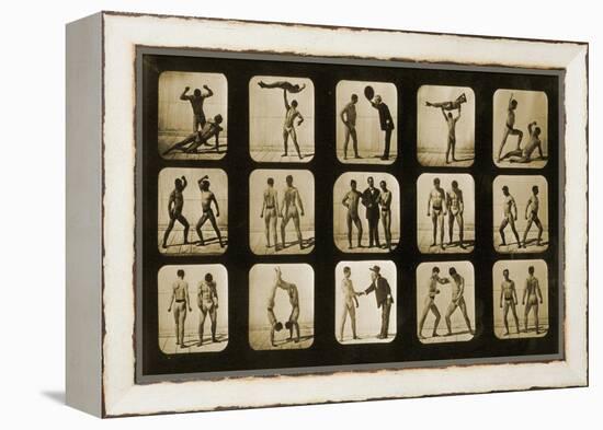 Athletes Posturing, from the 'Animal Locomotion' Series, C.1881-Eadweard Muybridge-Framed Premier Image Canvas