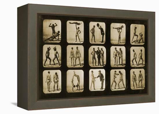 Athletes Posturing, from the 'Animal Locomotion' Series, C.1881-Eadweard Muybridge-Framed Premier Image Canvas