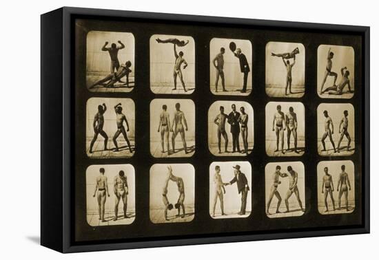 Athletes Posturing, from the 'Animal Locomotion' Series, C.1881-Eadweard Muybridge-Framed Premier Image Canvas