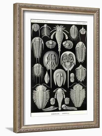 Athropods-Ernst Haeckel-Framed Art Print