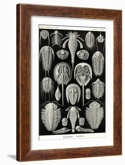 Athropods-Ernst Haeckel-Framed Art Print