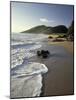 Atlantic Beach of St. Kitts, Caribbean-Robin Hill-Mounted Photographic Print