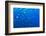 Atlantic bluefin tuna within tuna farm, Saint Paul's Bay, Malta-Pascal Kobeh-Framed Photographic Print