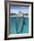 Atlantic Bottlenose Dolphins kissing-Stephen Frink-Framed Photographic Print