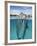 Atlantic Bottlenose Dolphins kissing-Stephen Frink-Framed Photographic Print