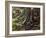 Atlantic Bushmaster (Lachesis Mutus), Viperidae-null-Framed Giclee Print