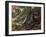 Atlantic Bushmaster (Lachesis Mutus), Viperidae-null-Framed Giclee Print