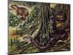 Giclee Print