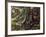 Atlantic Bushmaster (Lachesis Mutus), Viperidae-null-Framed Giclee Print