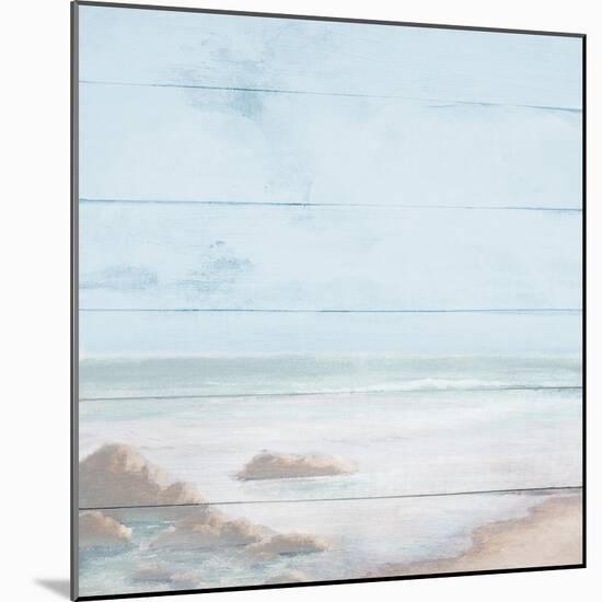 Atlantic Coast I-Michael Marcon-Mounted Art Print