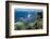 Atlantic Coast, St. Kitts, St. Kitts and Nevis-Robert Harding-Framed Photographic Print