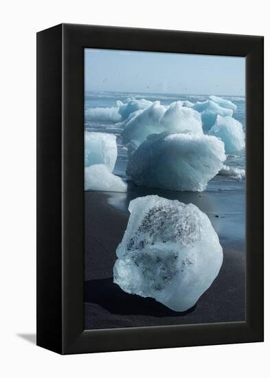 Atlantic Coast with Iceberg Remains at the Jškulsarlon-Catharina Lux-Framed Premier Image Canvas