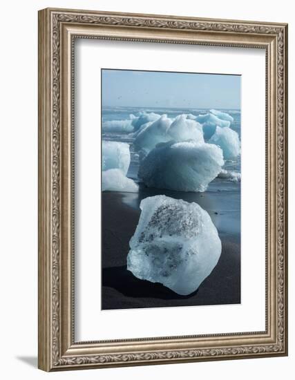 Atlantic Coast with Iceberg Remains at the Jškulsarlon-Catharina Lux-Framed Photographic Print