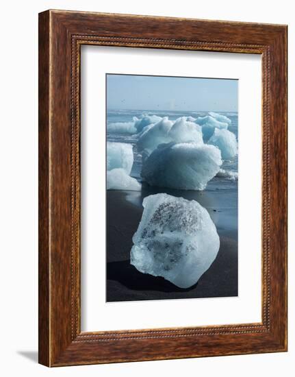 Atlantic Coast with Iceberg Remains at the Jškulsarlon-Catharina Lux-Framed Premium Photographic Print