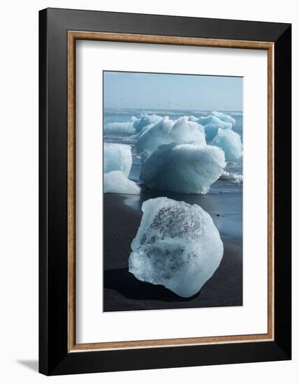 Atlantic Coast with Iceberg Remains at the Jškulsarlon-Catharina Lux-Framed Premium Photographic Print