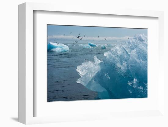 Atlantic Coast with Iceberg Remains at the Jškulsarlon-Catharina Lux-Framed Photographic Print