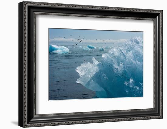 Atlantic Coast with Iceberg Remains at the Jškulsarlon-Catharina Lux-Framed Photographic Print