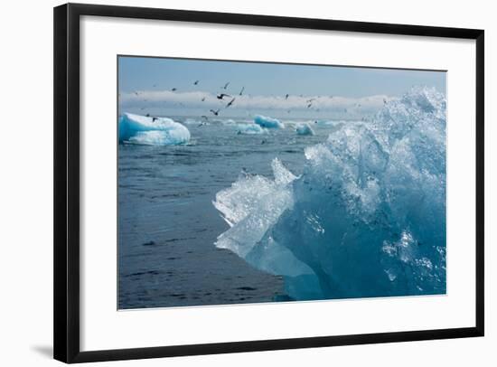 Atlantic Coast with Iceberg Remains at the Jškulsarlon-Catharina Lux-Framed Photographic Print