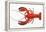 Atlantic Lobster-David Nunuk-Framed Premier Image Canvas