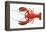 Atlantic Lobster-David Nunuk-Framed Premier Image Canvas