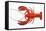 Atlantic Lobster-David Nunuk-Framed Premier Image Canvas