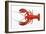 Atlantic Lobster-David Nunuk-Framed Photographic Print