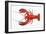 Atlantic Lobster-David Nunuk-Framed Photographic Print