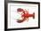 Atlantic Lobster-David Nunuk-Framed Photographic Print