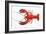 Atlantic Lobster-David Nunuk-Framed Photographic Print