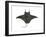 Atlantic Manta (Manta Birostris), Fishes-Encyclopaedia Britannica-Framed Art Print