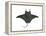 Atlantic Manta (Manta Birostris), Fishes-Encyclopaedia Britannica-Framed Stretched Canvas