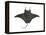 Atlantic Manta (Manta Birostris), Fishes-Encyclopaedia Britannica-Framed Stretched Canvas