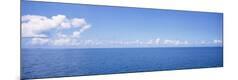 Premium Photographic Print
