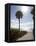 Atlantic Ocean, Miami Beach, Florida, USA-Angelo Cavalli-Framed Premier Image Canvas