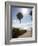 Atlantic Ocean, Miami Beach, Florida, USA-Angelo Cavalli-Framed Photographic Print