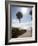 Atlantic Ocean, Miami Beach, Florida, USA-Angelo Cavalli-Framed Photographic Print