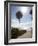 Atlantic Ocean, Miami Beach, Florida, USA-Angelo Cavalli-Framed Photographic Print