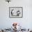 Atlantic Puffin Appears to Imitate a Decoy by Standing on One Leg, on Eastern Egg Rock, Maine-null-Framed Photographic Print displayed on a wall