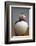 Atlantic Puffin (Fratercula Arctica), Iceland, Polar Regions-James-Framed Photographic Print