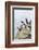 Atlantic Puffin, Mykines, Faroe Islands, Denmark-Martin Zwick-Framed Photographic Print