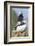 Atlantic Puffin, Mykines, Faroe Islands, Denmark-Martin Zwick-Framed Photographic Print