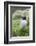 Atlantic Puffin With fish, Mykines, Faroe Islands. Denmark-Martin Zwick-Framed Photographic Print