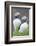 Atlantic Puffin With fish, Mykines, Faroe Islands. Denmark-Martin Zwick-Framed Photographic Print