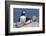 Atlantic Puffin-null-Framed Photographic Print