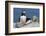 Atlantic Puffin-null-Framed Photographic Print