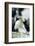 Atlantic Puffins, Machias Seal Island, Maine-Richard and Susan Day-Framed Photographic Print