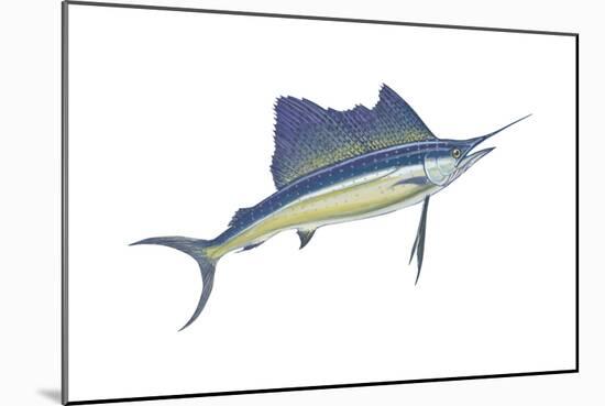 Atlantic Sailfish (Istiophorus Platypterus), Fishes-Encyclopaedia Britannica-Mounted Art Print
