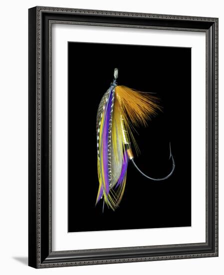 Atlantic Salmon Fly designs 'B.P.'-Darrell Gulin-Framed Photographic Print