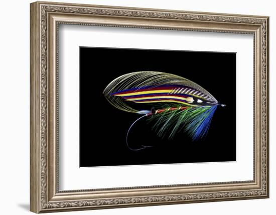 Atlantic Salmon Fly designs 'Clabby'-Darrell Gulin-Framed Photographic Print