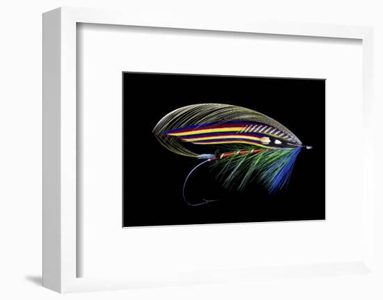 Atlantic Salmon Fly designs 'Clabby'-Darrell Gulin-Framed Photographic Print